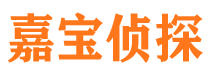 殷都市私家侦探